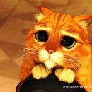 분당대진고등학교 이미지