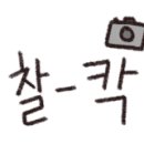 오광참치 이미지