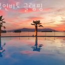 더뷰인비토 이미지
