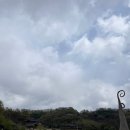 함양산삼사랑 | 경남 함양 1박2일 여행기 : 산에들에 | 지안재 | 카페 오도재 | 오후공책 책방 | 케빈 커피 로스터스...