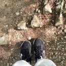 능안정 전망대 화장실 이미지