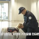 대한민국1호 이미지