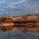 람사르습지길 이미지