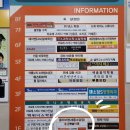 모어레스세종