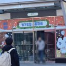 나보다 늙은 내자식들에게 효도를 받다. (인피니트 리미티드 에디션 후기)