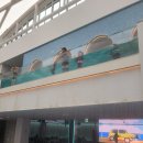 파라다이스 수영장 이미지