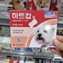 울산우리안약국 | ㅣ울산ㅣ 신선도원 메가약국 후기: 아이와 반려동물 제품 가득한 대형 약국 (feat. 메가마트 메가 블랙...