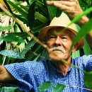 남미농장 이미지