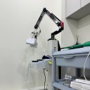 아티스치과의원 이미지