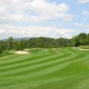 용평리조트 골프클럽 이미지