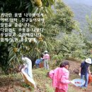 연철농장 이미지