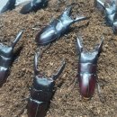 우화농장 이미지