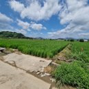 대산면908 이미지