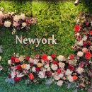 뉴욕바닷가재 이미지