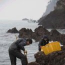 어청도 봉수대 이미지