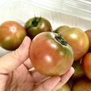 대저식품 | 대저 짭짤이 토마토 후기｜제철 시기, 맛, 가격 솔직 리뷰
