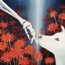 선운사꽃무릇 | [고창 여행] 24년9월11일 선운사 꽃무릇 없음 (⚠️낚임 인증 완료)