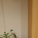 길음메디칼약국
