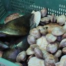 서해대로93번길 이미지