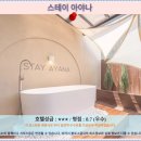 대전 스테이 아야나 호텔 추천! 대전 여행 후기 &amp; 솔직 리뷰