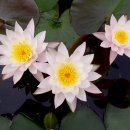 사회복지관앞 이미지