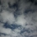 K-Best(케이 베스트) 태권도장 | NH862, 861 전일본공수 ANA 김포-하네다 스타 얼라이언스 골드 후기 김네다