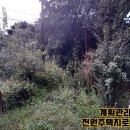 공인중개사구희서사무소 이미지