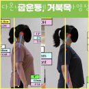 다온나 필라테스&PT 이미지