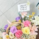 새아라아뜰리에 이미지
