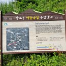 민주지산로 이미지