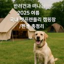 허그도그 | 👍 반려견과 떠나는 2025 여름 국내 펫프렌들리 캠핑장/펜션 총정리