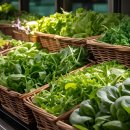 봄,푸드 이미지