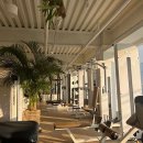 트윙클짐 이미지