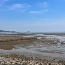 서천 바닷가 갯벌 이미지