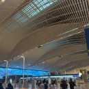 출장 | 필리핀 출장 후기