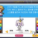 메이플커스텀