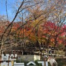 순환로 405번길 이미지