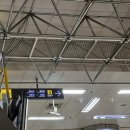 경부선 고속버스터미널 | 서울/서초구/반포동] 강남 고속버스터미널 꽃시장 크리스마스 오너먼트 구매 후기