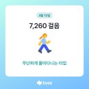 해질녘부엉이