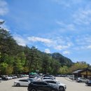 평창 오대산사고등록 | [평창/횡성] 오대산 월정사에 연등달고 기념품샵 다녀왔어요. (25년 5월)