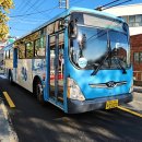 동진버스(주) 이미지