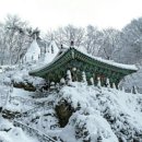 마이산홍삼족욕카페