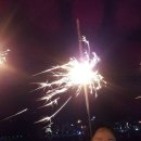 푸른곰팡이 Daum카페