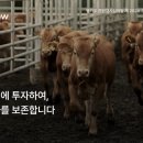 가축인공수정업 이미지