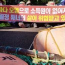 월정리마을회 이미지