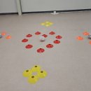 개와 집사의 시간 이미지