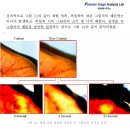 법영상분석연구소