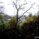 장매마을 이미지