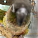 정미 축산 | 2025 축산기사 필답 2회 문제 / 후기