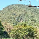 완월동105 이미지